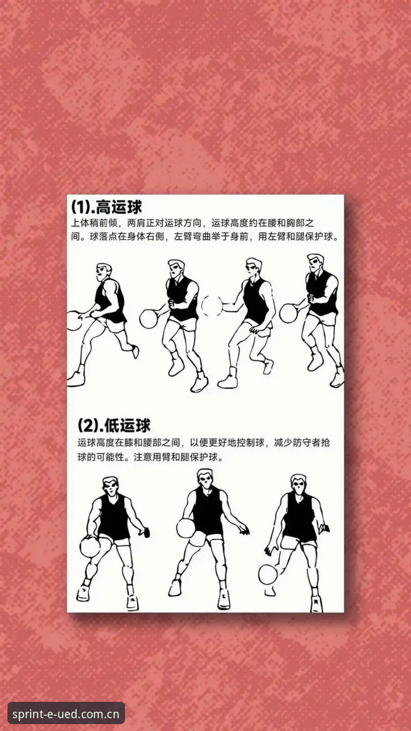 UED体育平台新手入门的4个关键操作步骤